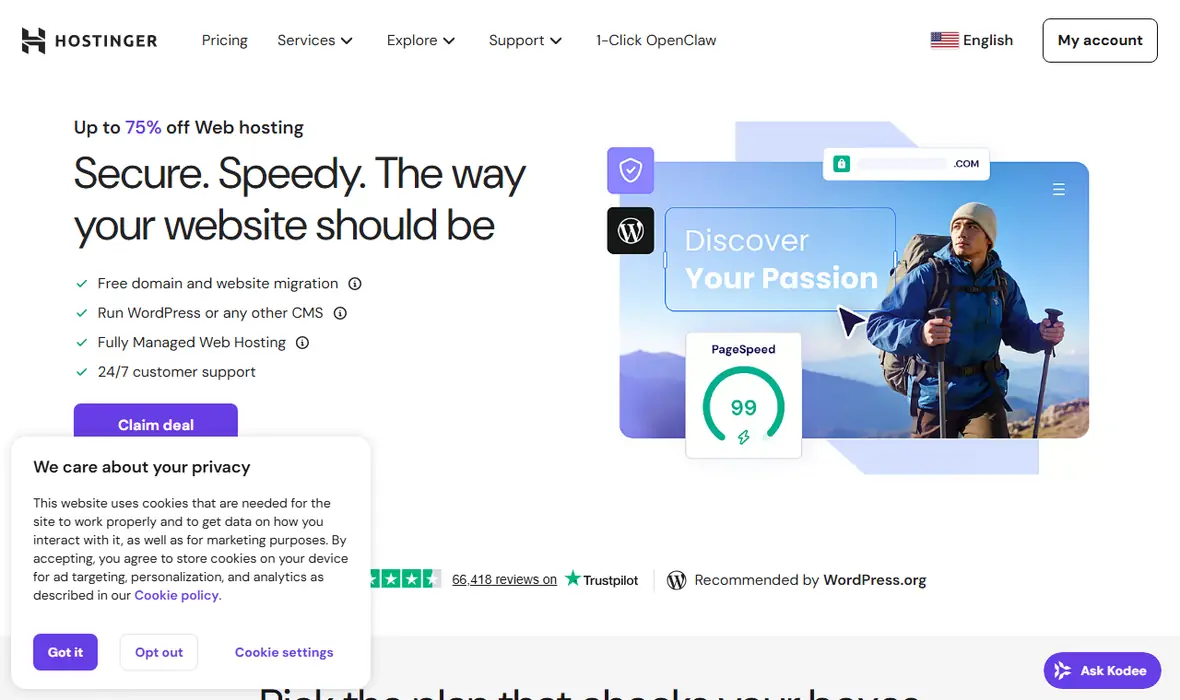 Hostinger web hosting source page