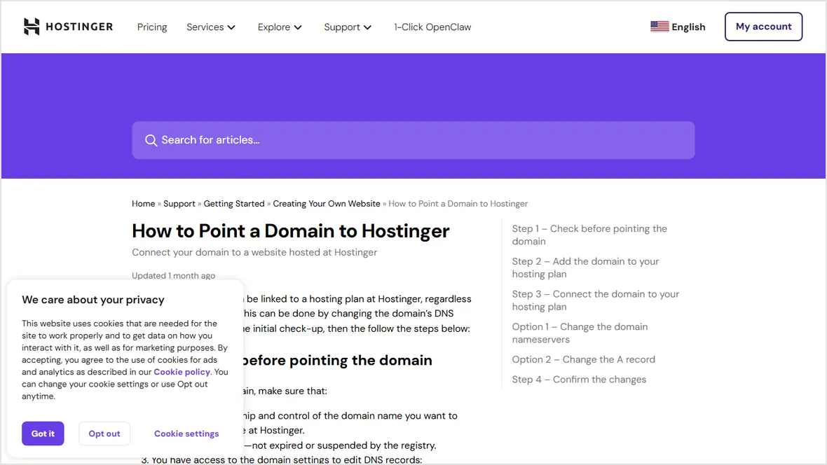 Hostinger domain pointing help page